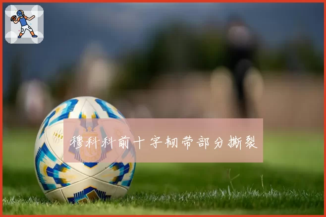穆科科前十字韧带部分撕裂