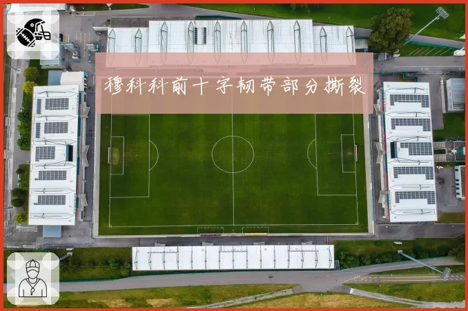 穆科科前十字韧带部分撕裂