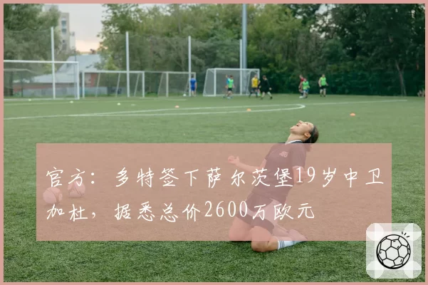 官方：多特签下萨尔茨堡19岁中卫加杜，据悉总价2600万欧元